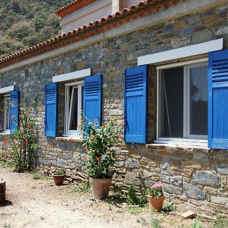 Lou Pastourel Villa Le Lavandou Buitenkant foto
